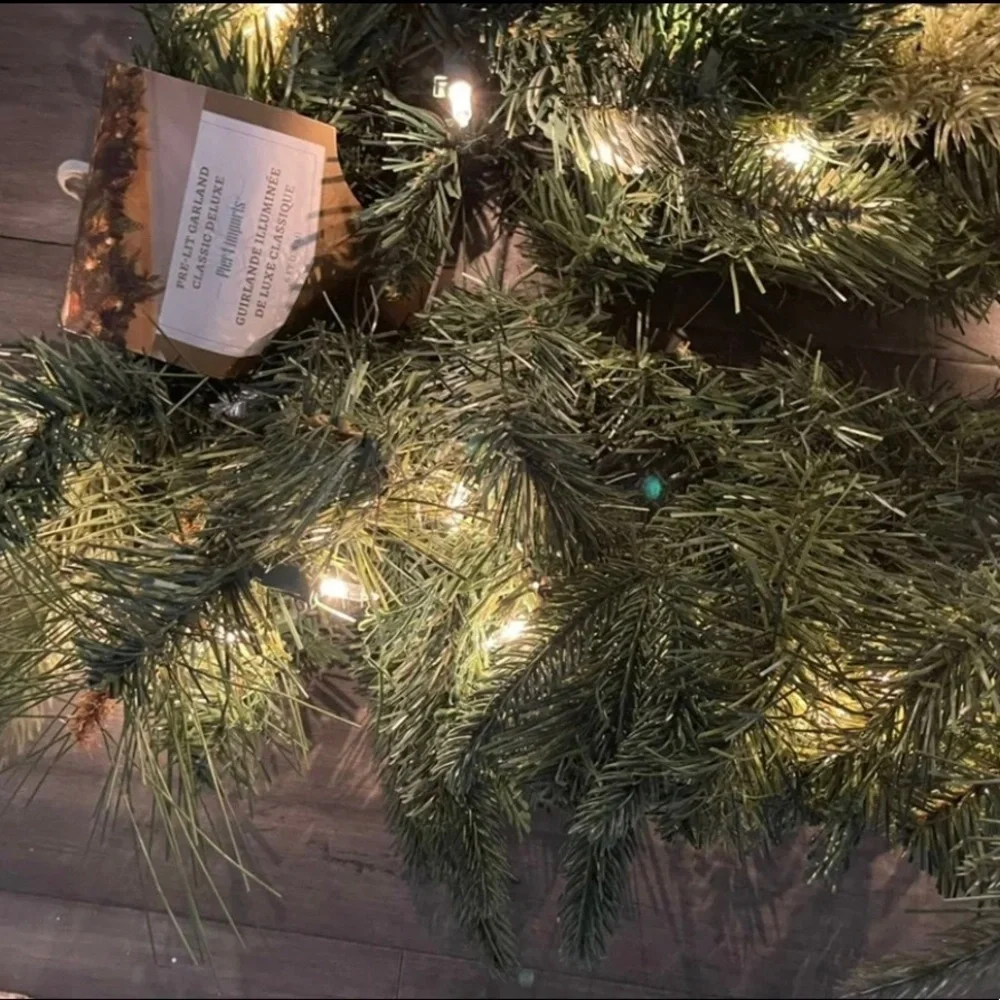 Pier one light up garland